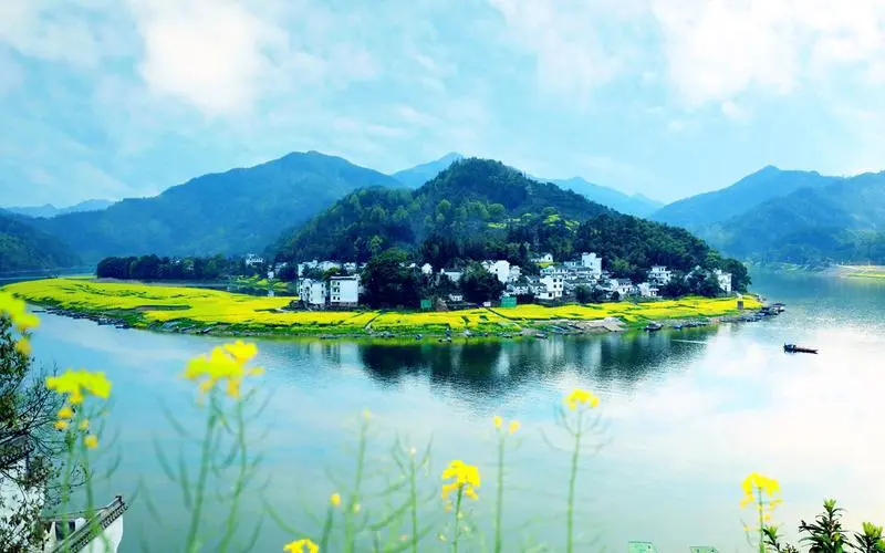 智能化高端